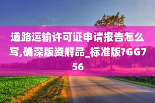 道路运输许可证申请报告怎么写,确深版资解品_标准版?GG756