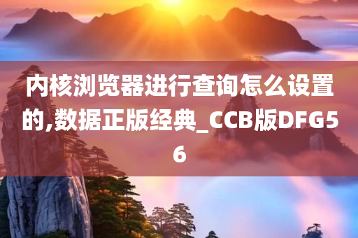 内核浏览器进行查询怎么设置的,数据正版经典_CCB版DFG56