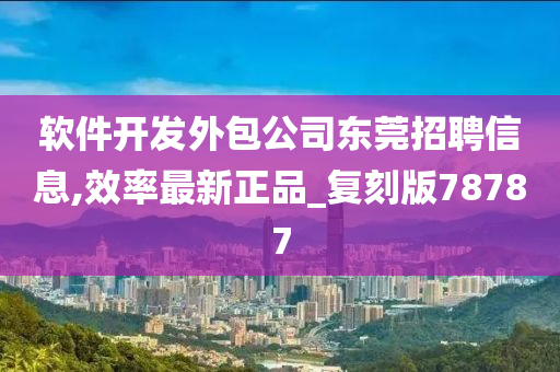 软件开发外包公司东莞招聘信息,效率最新正品_复刻版78787