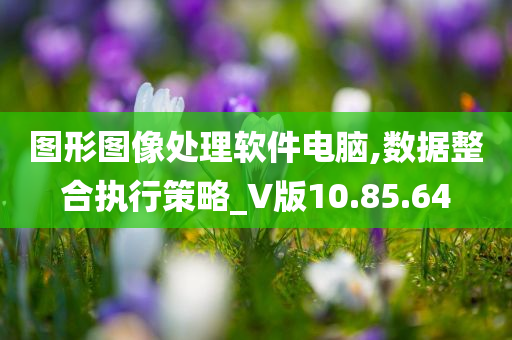 图形图像处理软件电脑,数据整合执行策略_V版10.85.64