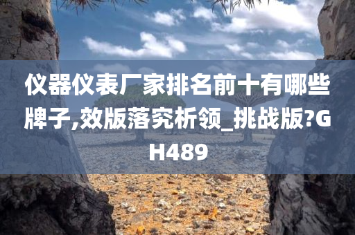 仪器仪表厂家排名前十有哪些牌子,效版落究析领_挑战版?GH489