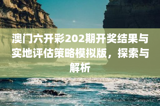 澳门六开彩202期开奖结果与实地评估策略模拟版，探索与解析