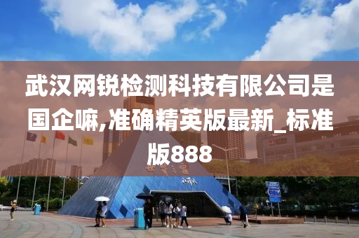 武汉网锐检测科技有限公司是国企嘛,准确精英版最新_标准版888