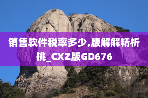 销售软件税率多少,版解解精析挑_CXZ版GD676