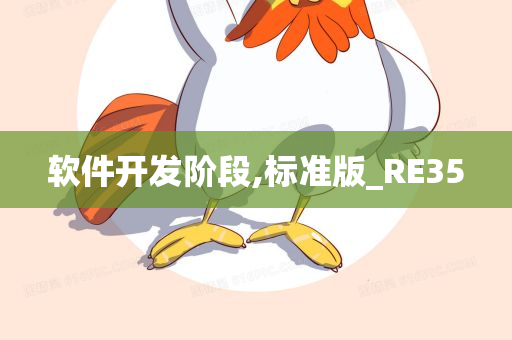 软件开发阶段,标准版_RE35