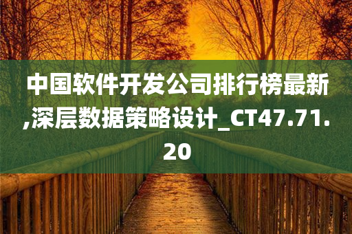 中国软件开发公司排行榜最新,深层数据策略设计_CT47.71.20