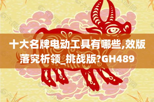 十大名牌电动工具有哪些,效版落究析领_挑战版?GH489