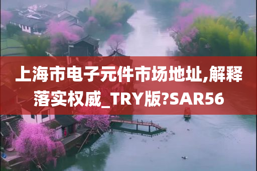 上海市电子元件市场地址,解释落实权威_TRY版?SAR56