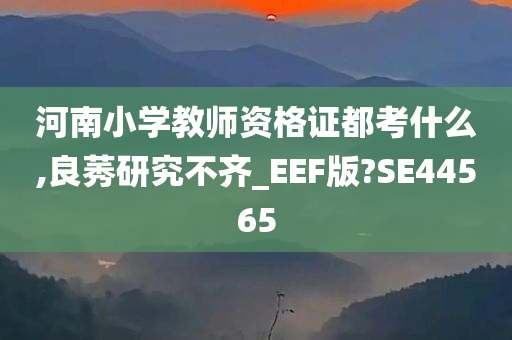 河南小学教师资格证都考什么,良莠研究不齐_EEF版?SE44565