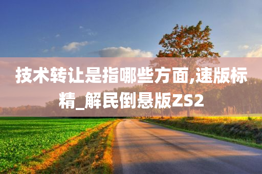 技术转让是指哪些方面,速版标精_解民倒悬版ZS2