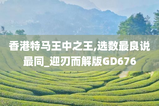 香港特马王中之王,选数最良说最同_迎刃而解版GD676