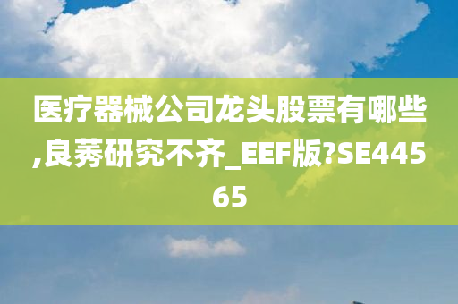 医疗器械公司龙头股票有哪些,良莠研究不齐_EEF版?SE44565