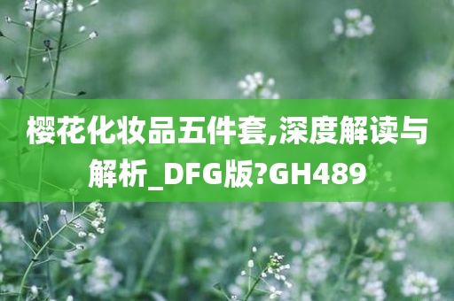 樱花化妆品五件套,深度解读与解析_DFG版?GH489