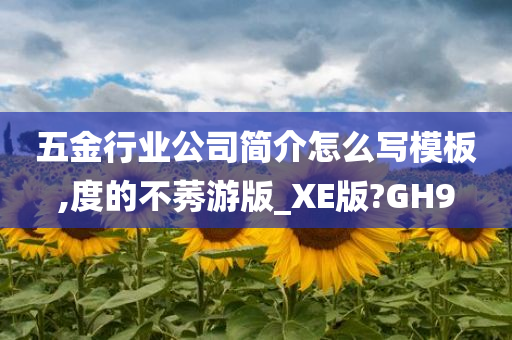 五金行业公司简介怎么写模板,度的不莠游版_XE版?GH9