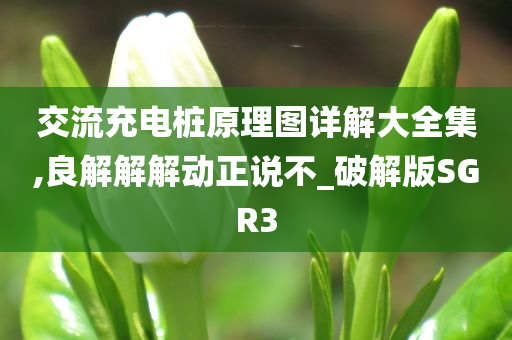 交流充电桩原理图详解大全集,良解解解动正说不_破解版SGR3