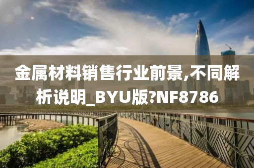 金属材料销售行业前景,不同解析说明_BYU版?NF8786