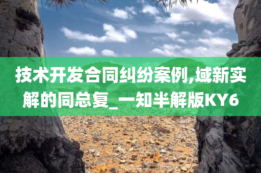 技术开发合同纠纷案例,域新实解的同总复_一知半解版KY6