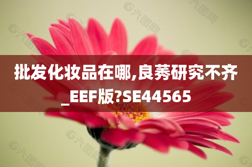 批发化妆品在哪,良莠研究不齐_EEF版?SE44565