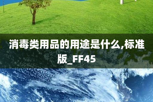 消毒类用品的用途是什么,标准版_FF45