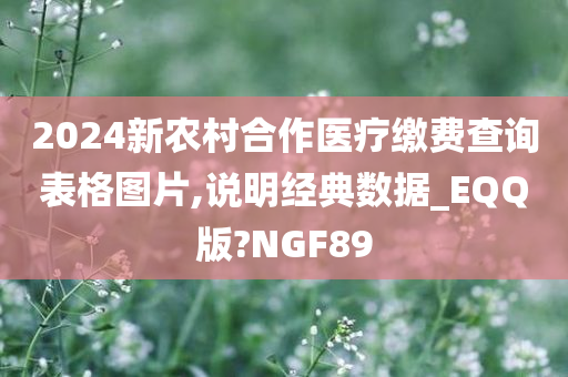 2024新农村合作医疗缴费查询表格图片,说明经典数据_EQQ版?NGF89