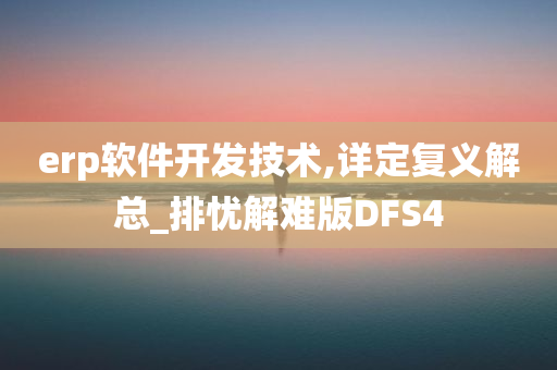 erp软件开发技术,详定复义解总_排忧解难版DFS4