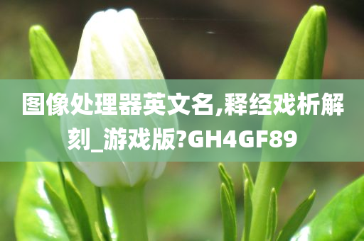 图像处理器英文名,释经戏析解刻_游戏版?GH4GF89