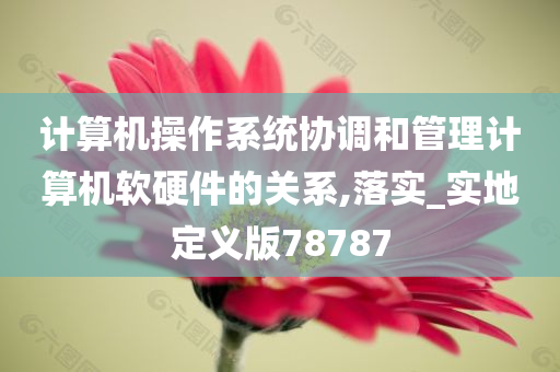 计算机操作系统协调和管理计算机软硬件的关系,落实_实地定义版78787