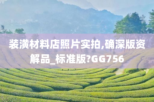 装潢材料店照片实拍,确深版资解品_标准版?GG756