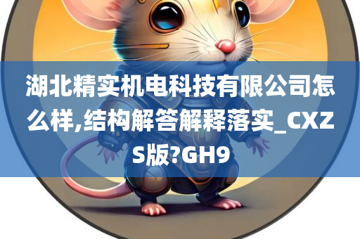 湖北精实机电科技有限公司怎么样,结构解答解释落实_CXZS版?GH9