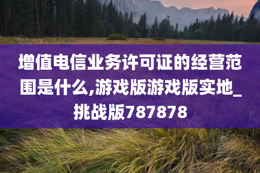 增值电信业务许可证的经营范围是什么,游戏版游戏版实地_挑战版787878