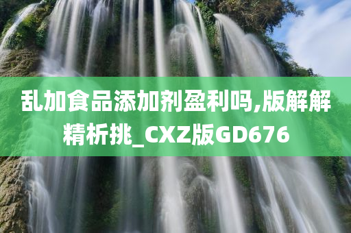 乱加食品添加剂盈利吗,版解解精析挑_CXZ版GD676