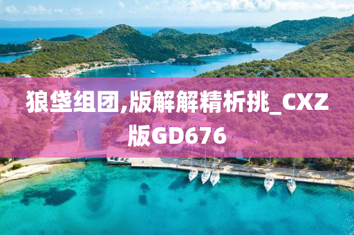 狼垡组团,版解解精析挑_CXZ版GD676