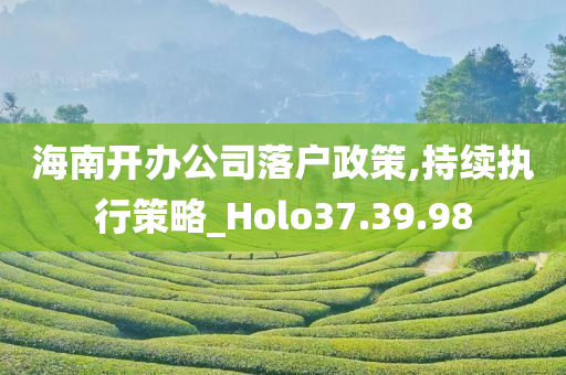 海南开办公司落户政策,持续执行策略_Holo37.39.98