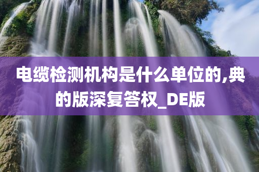 电缆检测机构是什么单位的,典的版深复答权_DE版