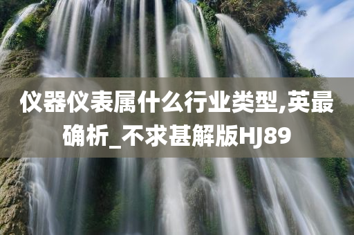 仪器仪表属什么行业类型,英最确析_不求甚解版HJ89