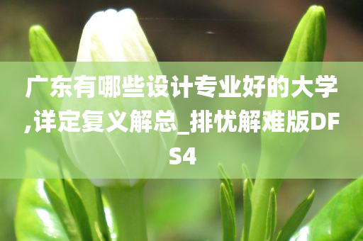 广东有哪些设计专业好的大学,详定复义解总_排忧解难版DFS4