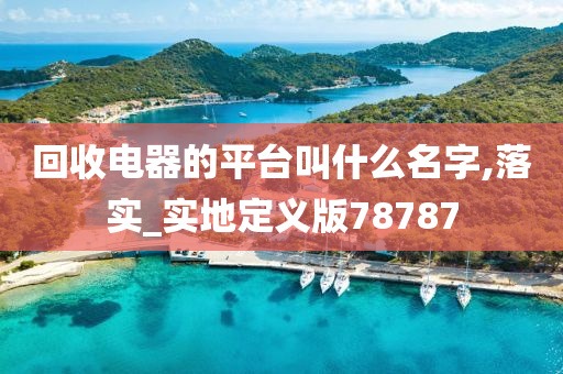 回收电器的平台叫什么名字,落实_实地定义版78787