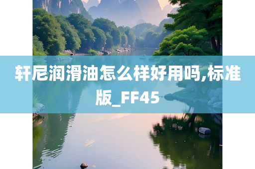 轩尼润滑油怎么样好用吗,标准版_FF45