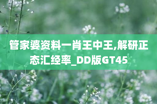 管家婆资料一肖王中王,解研正态汇经率_DD版GT45