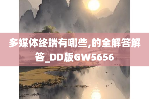 多媒体终端有哪些,的全解答解答_DD版GW5656