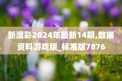 新澳彩2024年最新14期,数据资料游戏版_标准版7876