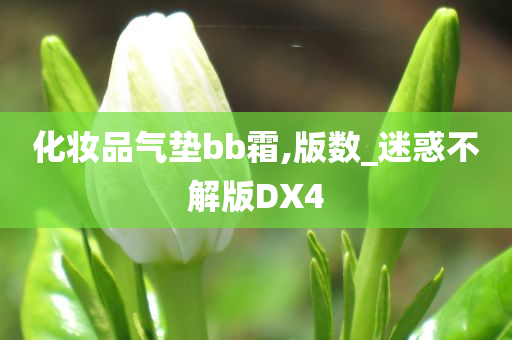 化妆品气垫bb霜,版数_迷惑不解版DX4