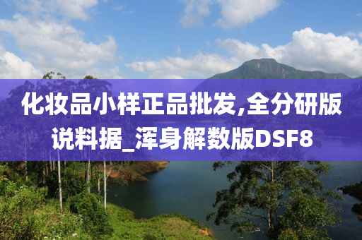 化妆品小样正品批发,全分研版说料据_浑身解数版DSF8