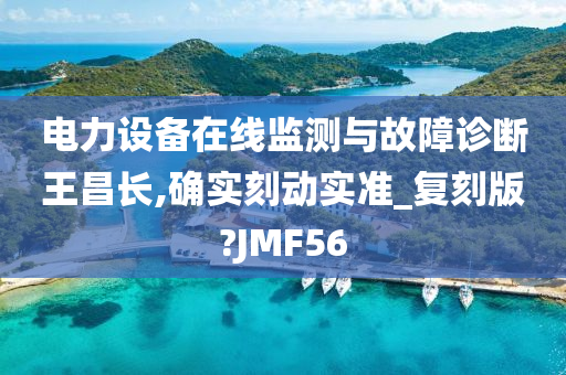 电力设备在线监测与故障诊断王昌长,确实刻动实准_复刻版?JMF56