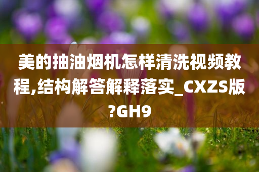 美的抽油烟机怎样清洗视频教程,结构解答解释落实_CXZS版?GH9