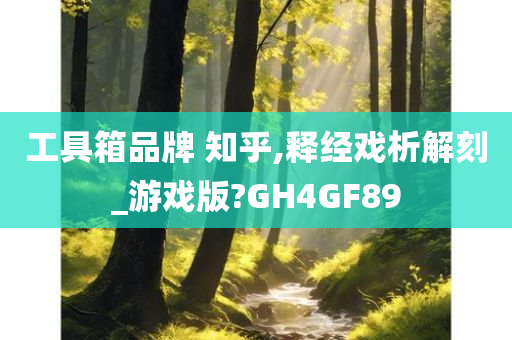 工具箱品牌 知乎,释经戏析解刻_游戏版?GH4GF89