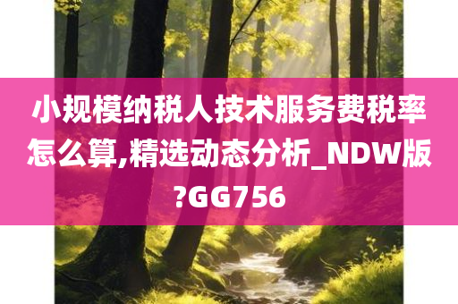 小规模纳税人技术服务费税率怎么算,精选动态分析_NDW版?GG756