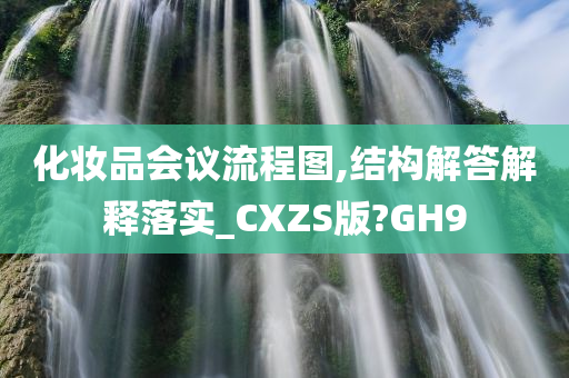 化妆品会议流程图,结构解答解释落实_CXZS版?GH9