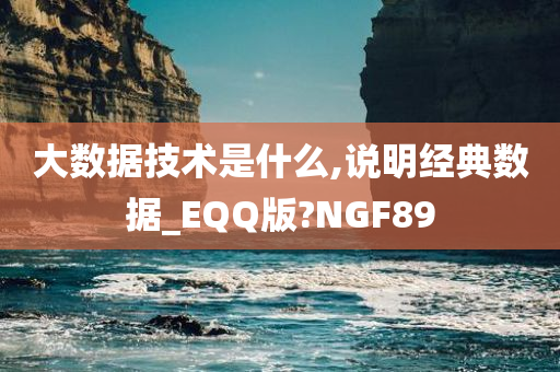 大数据技术是什么,说明经典数据_EQQ版?NGF89