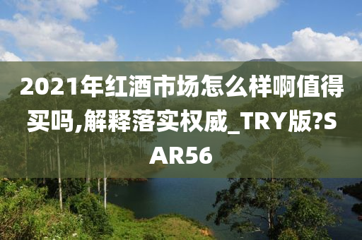 2021年红酒市场怎么样啊值得买吗,解释落实权威_TRY版?SAR56